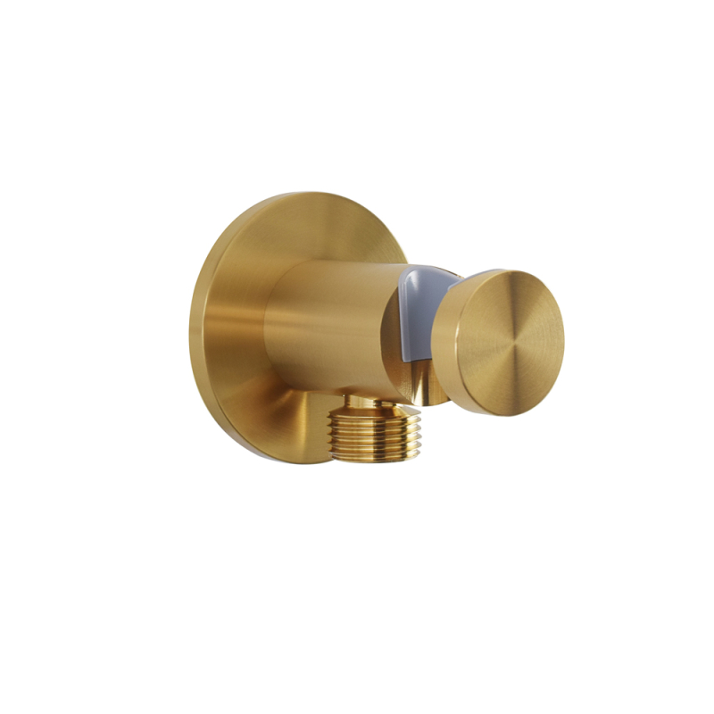 Shower head holder,stainless steel, Brushed Gold